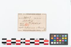 Etikett zu Bronzeknotenarmreif (NHMW-PRAE-026087)